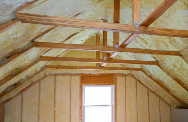 Best Commercial Insulation in Hopkins, MN