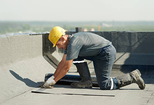 Best Insulation Installation Services in Hopkins, MN