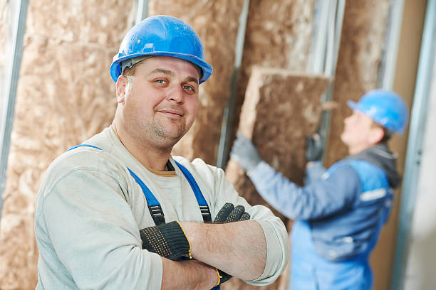 Best Insulation Maintenance and Repair in Hopkins, MN
